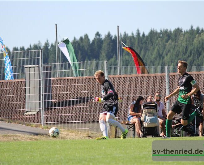 Herrenspiel SVT-SVG - SV Neukirchen Hl. Blut Samstag 24.06.2017 014m