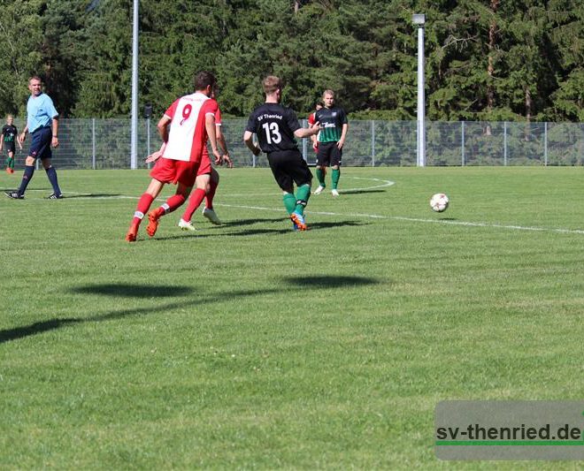 Herrenspiel SVT-SVG - SV Neukirchen Hl. Blut Samstag 24.06.2017 022m