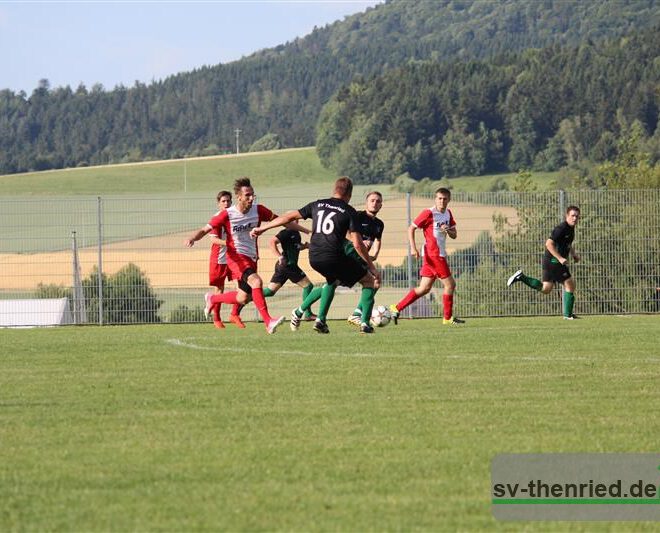 Herrenspiel SVT-SVG - SV Neukirchen Hl. Blut Samstag 24.06.2017 047m