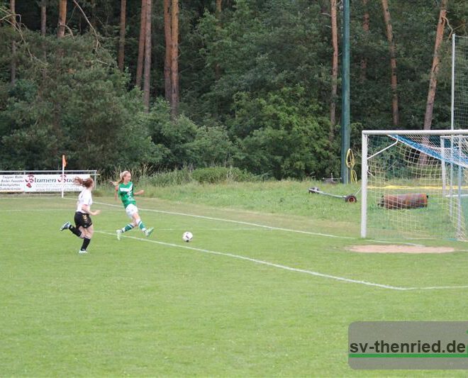 SV Altendorf - SV Thenried 09.06.2018 158m