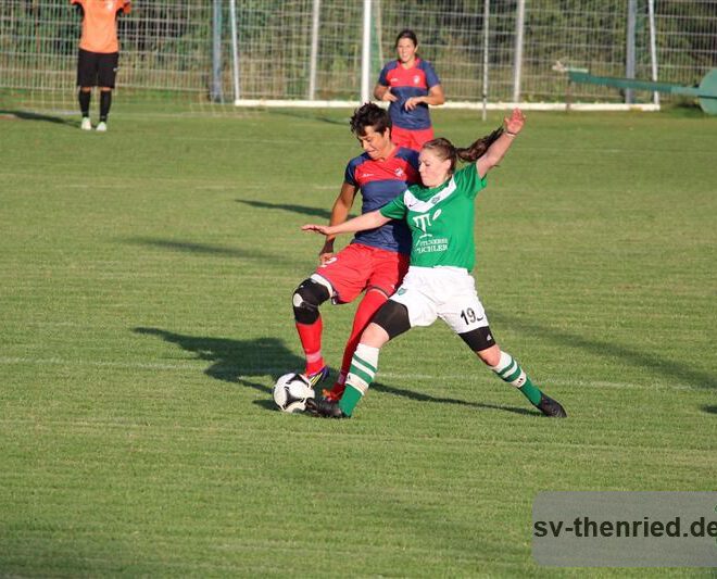 SV Thenried - 1. FC Viktoria Pilsen 22.08.2013 029m