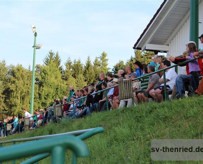 SV Thenried - 1. FC Viktoria Pilsen 22.08.2013 035m