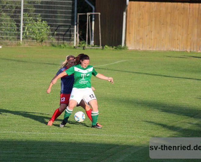 SV Thenried - 1. FC Viktoria Pilsen 22.08.2013 038m