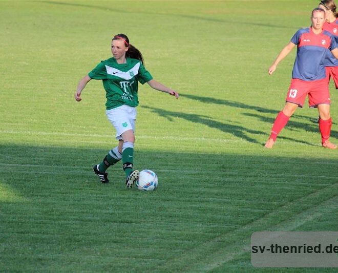 SV Thenried - 1. FC Viktoria Pilsen 22.08.2013 039m