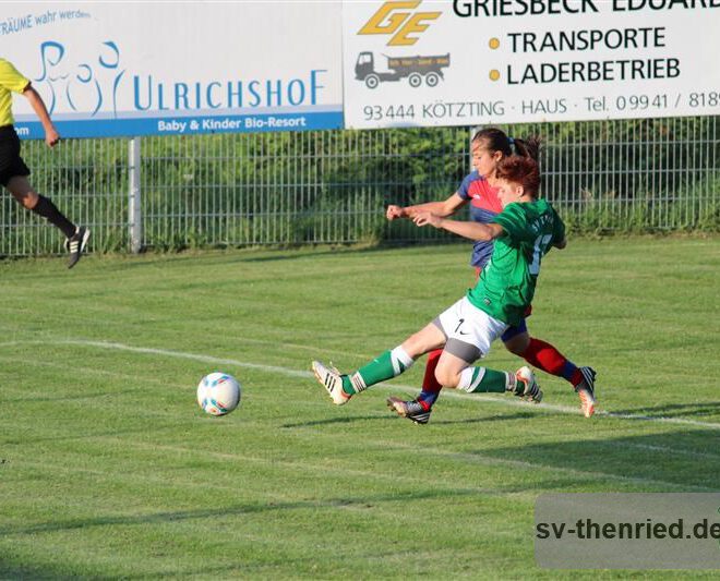 SV Thenried - 1. FC Viktoria Pilsen 22.08.2013 043m