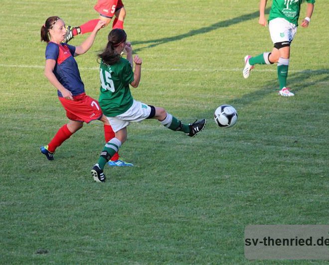 SV Thenried - 1. FC Viktoria Pilsen 22.08.2013 064m