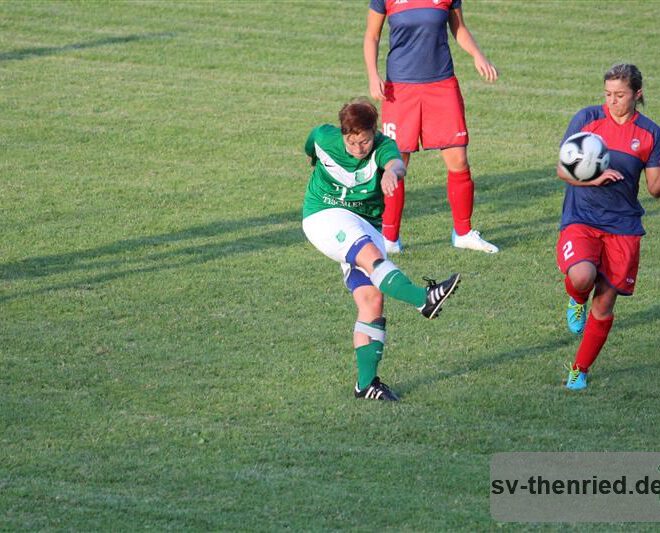 SV Thenried - 1. FC Viktoria Pilsen 22.08.2013 070m