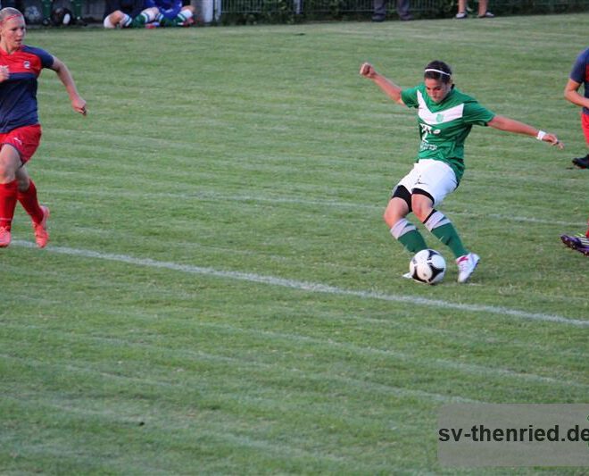 SV Thenried - 1. FC Viktoria Pilsen 22.08.2013 096m