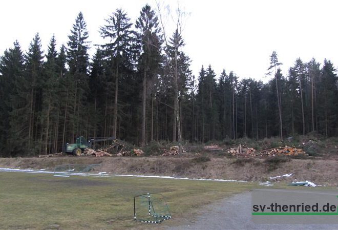 Sportplatz 09.03.2012 006m